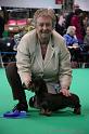 Crufts2011_2 1131